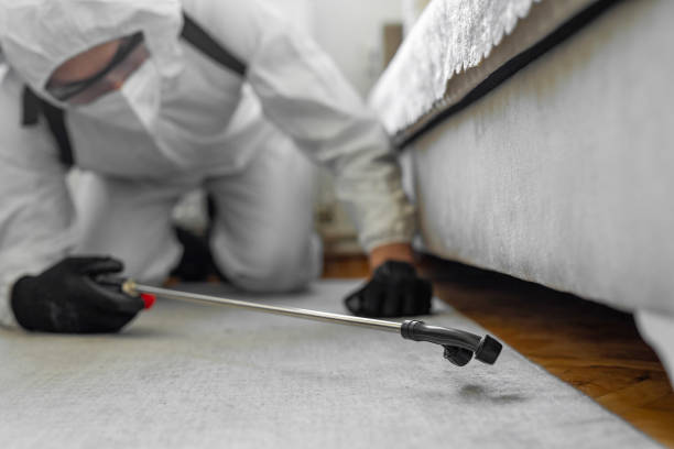 Professional Rodent Control technician working in China Lake Acres, CA