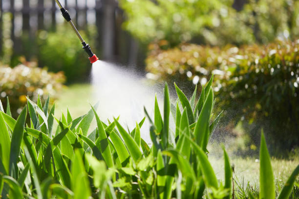 24/7 Emergency Rodent Control experts in China Lake Acres, CA