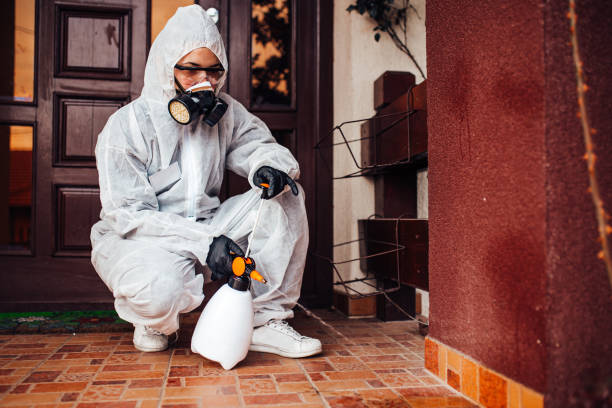 Reliable Rodent Control contractor in China Lake Acres, CA by Nex Pest Control