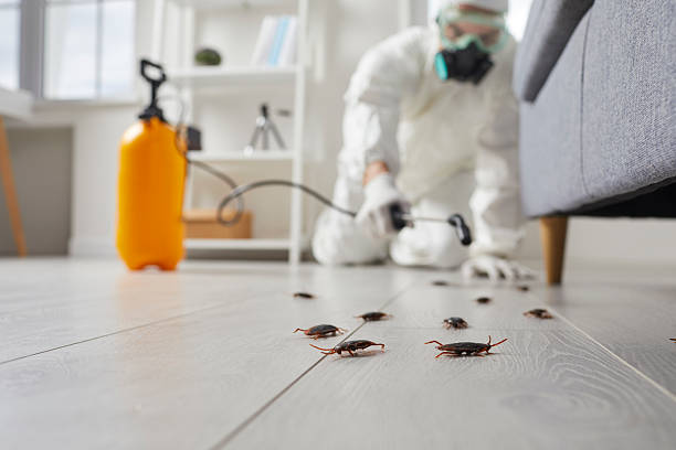 Trusted Fumigation Services service in China Lake Acres, CA - Nex Pest Control